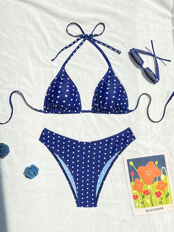 2026 New European American Polka Dot Bikini Sexy Two-Piece Swimsuit For Women Beach And Spa Swimwear Wholesale_ecoleips.com