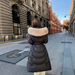 Luxury Fox Fur Trim Hooded Long Down Coat For Women - High Waist Slim Fit Winter Jacket With White Goose Feather Filling (Beige, Brown, Black)_ecoleips.com