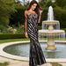 Striped Lace Mermaid Evening Gown, Sheer Mesh Long Sleeve Formal Maxi Dress For Prom & Wedding Guest_ecoleips.com