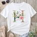 Summer European And American Cross-border Foreign Trade Wholesale T-shirts, Round-neck Casual Plus-size Loose_ecoleips.com