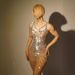 Women's Clothing Rhinestone Feather Dress Banquet Event Photo Elegant Dress Bar Nightclub Evening Dress_ecoleips.com