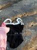 One-piece Swimsuit Backless Internet Celebrity Summer New Sweet Sexy Vacation Swimsuit Hot Spring Ins Hot Spring_ecoleips.com