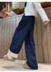 Fleece Jeans Women's Autumn And Winter 2025 New Loose Large Size Drape Straight High Waist Thin Elastic Waist Wide Leg Pants_ecoleips.com