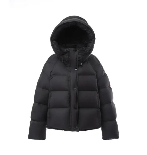 Women's Short Puffer Jacket With 86%-90% White Duck Feathers, Winter Oversized Hooded Coat, Lightweight Warm Puff Coat For Petite & Tall Women_ecoleips.com