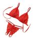 Women Lady Sexy Lingerie Lace Underwear Sleepwear G-string Lingerie Female Underwear Set Women's Bra Suit Комплект_ecoleips.com