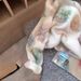 Women's Clothing Print Mohair Sweater New Sweet Soft Glutinous Knitted Top_ecoleips.com