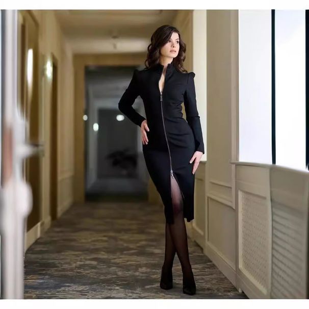 Women's Office Dress Long Sleeve Stand Collar Slim Fit Knit Dress - Spring Workwear Stretch Pencil Dress For Business Casual_ecoleips.com