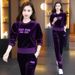 Velvet Tracksuit Set For Women - Stylish Round Neck Two-Piece Outfit With Embroidery, Long Sleeve & Pants, Plus Size Available_ecoleips.com