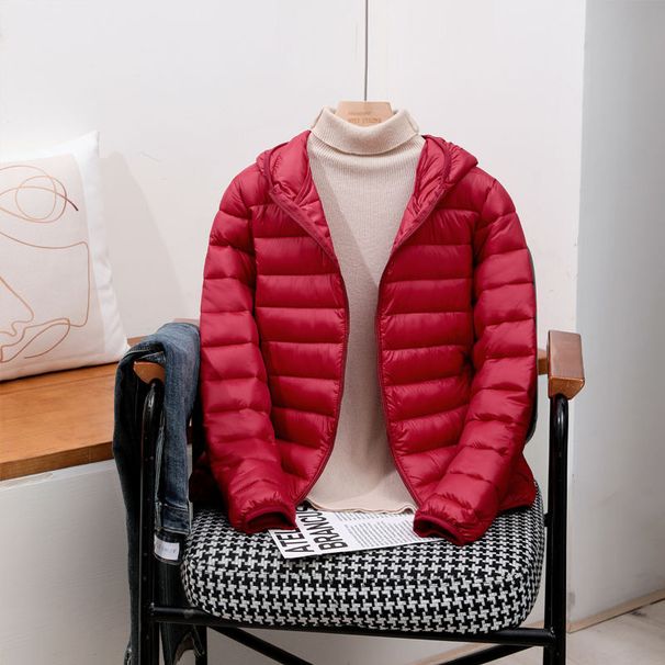 Women's Lightweight Padded Jacket Winter Coat Fashion Hooded Stand Collar Short Puffer Jacket Plus Size Casual Outerwear_ecoleips.com