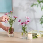 Transparent_ecoleips