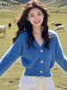 2025 Fall/Winter New French Casual Style Soft Blue V-neck Sweater Knit Cardigan Coat For Women, Short Top_ecoleips.com