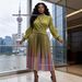 Spring Fashion Women's Slim Fit Dress Lantern Sleeve Collar Pleated Skirt Versatile Simple Style_ecoleips.com