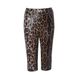 2025s 51664 Trendy Sequin Style Women's Fashion New Leopard Print Stretch Hot Pants Elastic Waist Casual Shorts Women_ecoleips.com