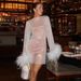 Women's Nightclub hairy glitter mesh dress new see-through fashion trend sexy women's dress_ecoleips.com