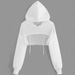 Sheer Mesh Hooded Crop Top – Women's Long Sleeve Sexy Streetwear Tee, Y2K Goth Aesthetic (S-XXL)_ecoleips.com