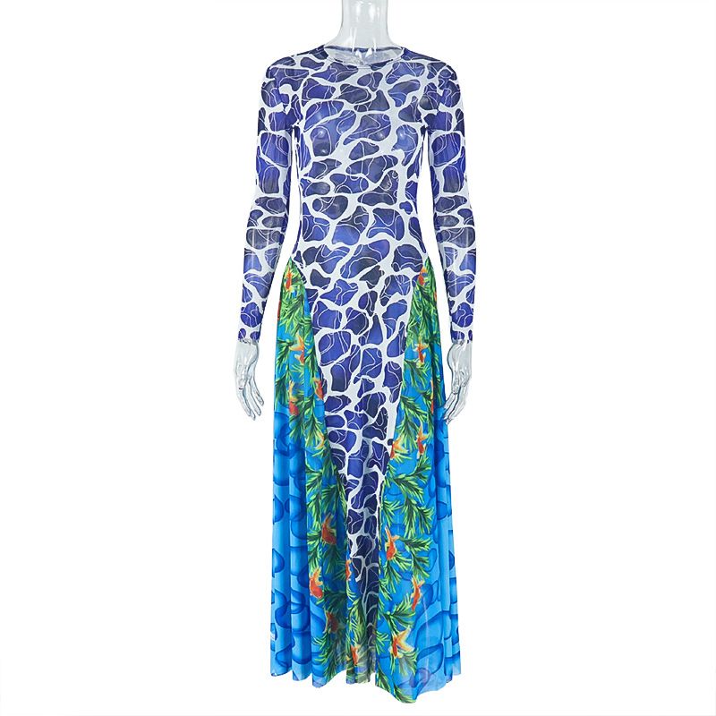 Women's Slimming Bodycon Long Dress American Style Printed Personalized Slightly Sheer High Neck Commuter Dress_ecoleips.com