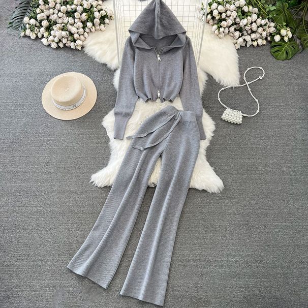 Women's Korean Style Two Piece Set Long Sleeved Zipper Hooded Slim Fit Knit Sweatshirt And Jacket High Waist Wide Leg_ecoleips.com