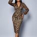 2026 Spring New Women's Cross-border Fashion Slim Dress Casual Leopard Print Elegant Dress_ecoleips.com