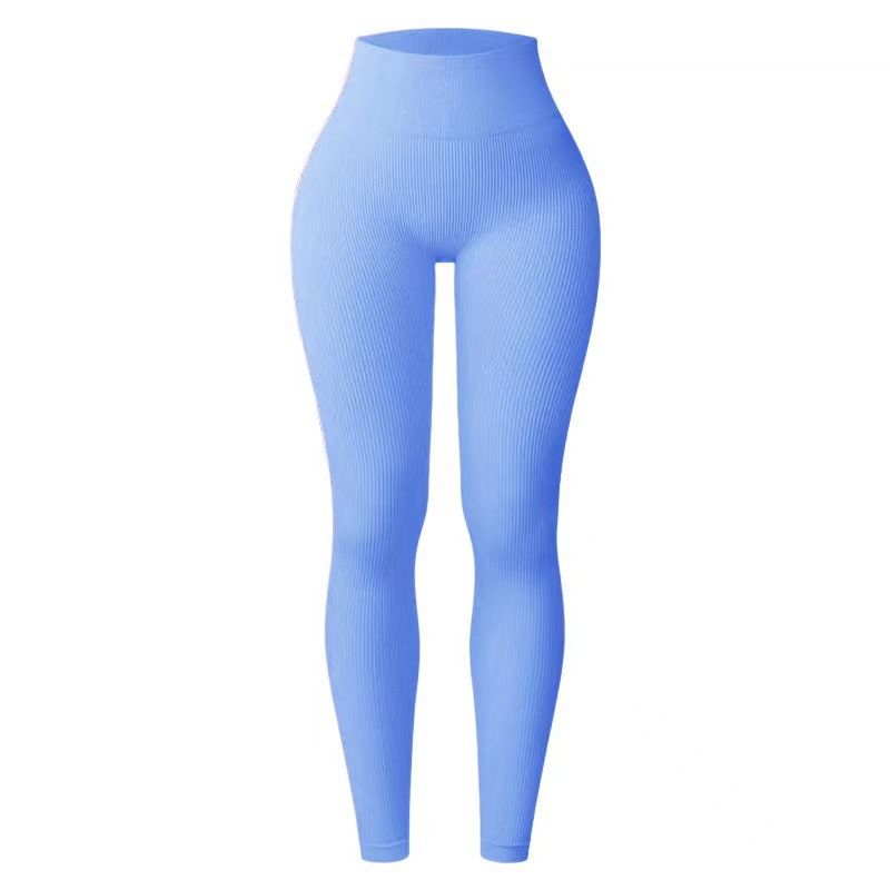 Seamless Ribbed Leggings With Built-in Bra - High Waist Yoga Pants For Women, Nylon Stretchy Workout Tights, Summer Athletic Casual Wear_ecoleips.com