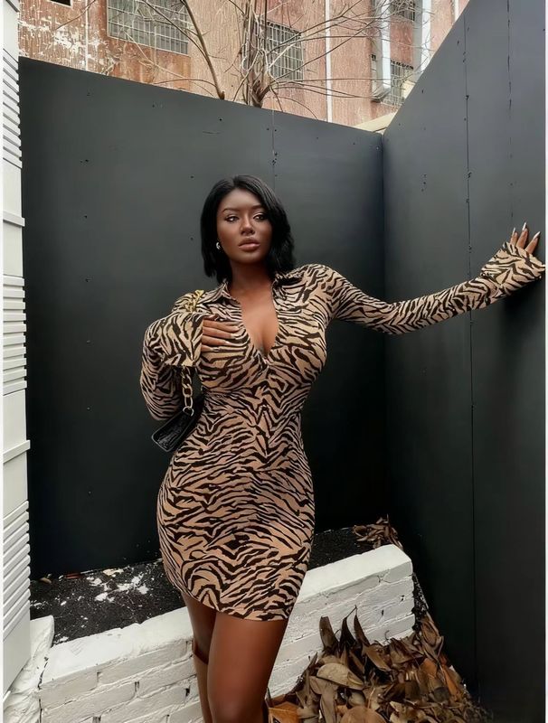 Women's Sexy Leopard Print Polo Collar Dress European American Style Slim Long Sleeve Bodycon Skirt Hot Girl Cross Border Popular Clothing_ecoleips.com