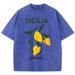 Amalfi Coast Italia Lemon Fruit Design Women Washed T-Shirts Y2K Casual T Shirt Summer Hip Hop Top Cotton Loose Short Sleeve_ecoleips.com