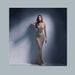 2026 New Spring Cross-Border European And American Fashion Rhinestone Embellished Women's Mesh Sheer Long-Sleeve Slit_ecoleips.com