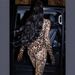 Women's Clothing Spring New Leopard Mesh Long Sleeved Stand Up Collar Tight Sexy Long Jumpsuit_ecoleips.com