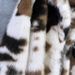 Women’s Long Faux Fur Coat – Cow Print Winter Coat With Suit Collar (S/M/L/XL)_ecoleips.com