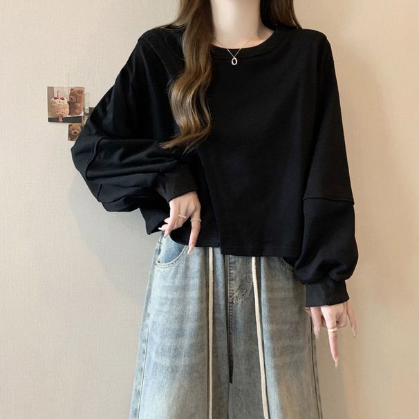 2024 New Round Neck Hoodless Long Sleeve Sweatshirt Loose Fit, Korean Style, Versatile, Short Top For Petite Women,_ecoleips.com