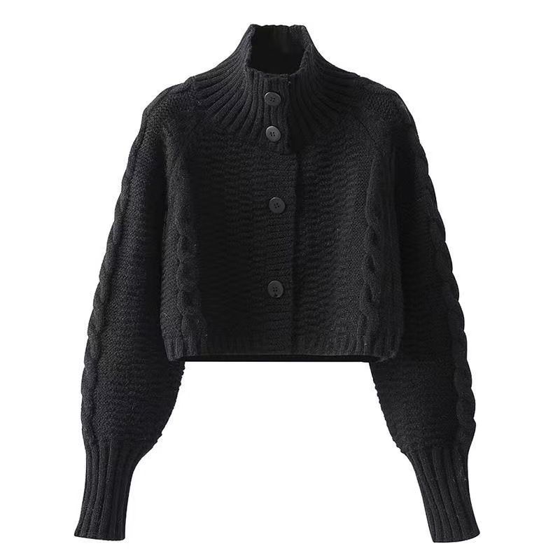 Women's Clothing new high neck sweater for women new lazy style loose slim short knitted jacket for women autumn_ecoleips.com