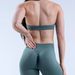 Women's Clothing High Elastic Ultra Fine Matte Nylon Halter Neck Seamless Sports Bra Backless Shockproof Yoga Bra_ecoleips.com