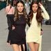 French-style Clothing 2025 Autumn New Fashion Sexy Slim-fit Waist-cinching Dress With Ribbons, Round Neck, Long Sleeves,_ecoleips.com