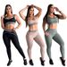 European And American Style Women's Sportswear Set Q6325 High Waisted Hip Lifting Yoga Wear Slimming Fitness Two Piece Set_ecoleips.com