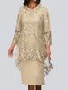 Verve 2025 New Plus Size Women's Evening Lace Embroidery Two-Piece Set Elegant Commuter Slim Dress_ecoleips.com