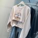 Real Shot Of Foreign Trade Women's Crew Neck Sweatshirt Without Hood, Spring And Autumn Thin Version, Plus Size, Loose_ecoleips.com