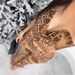 New Leopard Print Slim Sexy Hot Girl Lace Up Halter Neck Backless Top Trousers Suit_ecoleips.com