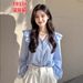 This Year's Popular Beautiful Blouse Has Light Luxury High-end Feel, A French Niche Style, And Is An Exquisite Blue_ecoleips.com