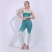 Women's Clothing Fitness Suit Shark Thick Gradient Hollow Running Yoga Suit_ecoleips.com