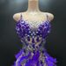 Women's Clothing Summer New Purple Dress Aura Ball Modern Dance Performance Clothing_ecoleips.com
