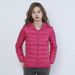 Siyu Clothing Autumn Winter New Lightweight Down Jacket Women's Hooded Thin Large Size Coat_ecoleips.com