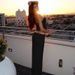 2026 Summer New Sexy Patchwork Tube Crop Top Slim Fit Elegant Bodycon Long Skirt Set For Women_ecoleips.com