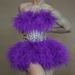 Women's Clothing Multi Layer Lace Rhinestone Waisted Tutu Skirt Cute Sweet Evening Dress Stage Short Skirt_ecoleips.com