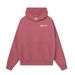 Unisex Casual Loose Hooded Sweatshirt Multi Color European American Style Minimalist Trendy Letter Print 2025 Versatile Women's Clothing_ecoleips.com