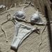 Women's Clothing Sexy Nylon Shiny Metal Ring Lace Up Backless Split Swimsuit Bikini_ecoleips.com