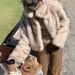 Fox Fur Coat Women's Short Thickened Temperament Thin Fur Coat_ecoleips.com
