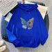 women's Hooded Sweatshirt 2025 Spring And Autumn New Long-sleeved Casual Fleece-lined High-end Lazy Style_ecoleips.com