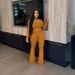 Elegant Women’s Palazzo Pants Set – Long Sleeve Blouse & Wide-Leg Trousers, Polyester-Spandex Blend (S-XXL, Red/Brown/Yellow, Evening Wear)_ecoleips.com