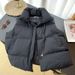 Women's Clothing small fragrant style stand collar new sleeveless cotton vest outer wear vest jacket trendy_ecoleips.com