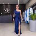 Verve 2025 Spring Fashion Evening Elegant Socialite Waist-Cinching Slim Fit Long Dress For Women_ecoleips.com