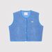 Aria Basics Sleeveless Furry Short Top 2024 European And American Cross-Border Fashion Women's Loose Single-Breasted Vest Jacket_ecoleips.com